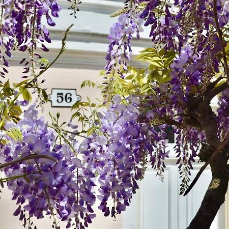 Wisteria Bed & Breakfast Fontainebleau Bagian luar foto