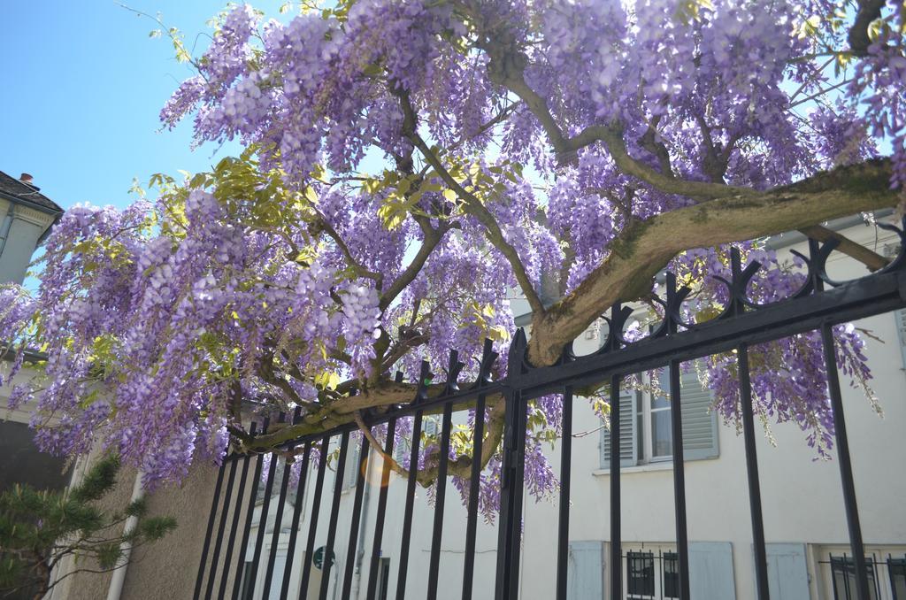 Wisteria Bed & Breakfast Fontainebleau Bagian luar foto