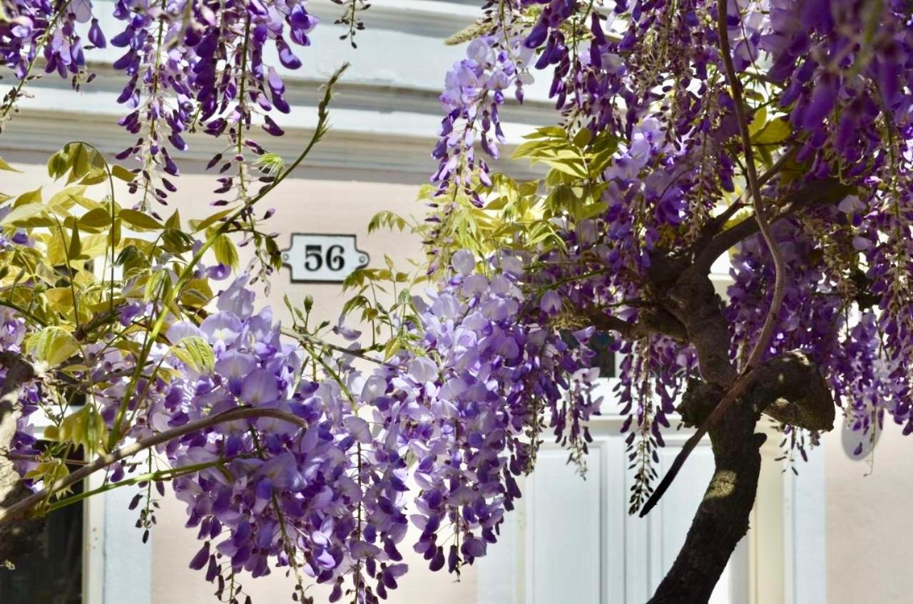 Wisteria Bed & Breakfast Fontainebleau Bagian luar foto