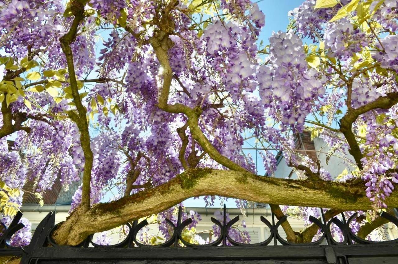 Wisteria Bed & Breakfast Fontainebleau Bagian luar foto