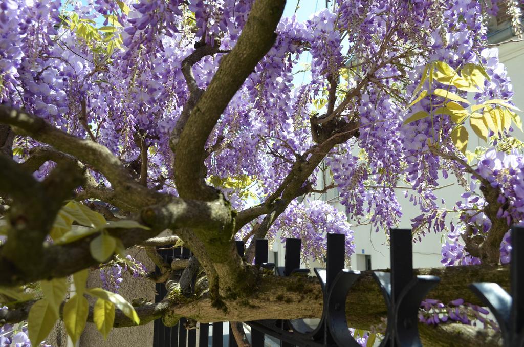 Wisteria Bed & Breakfast Fontainebleau Bagian luar foto