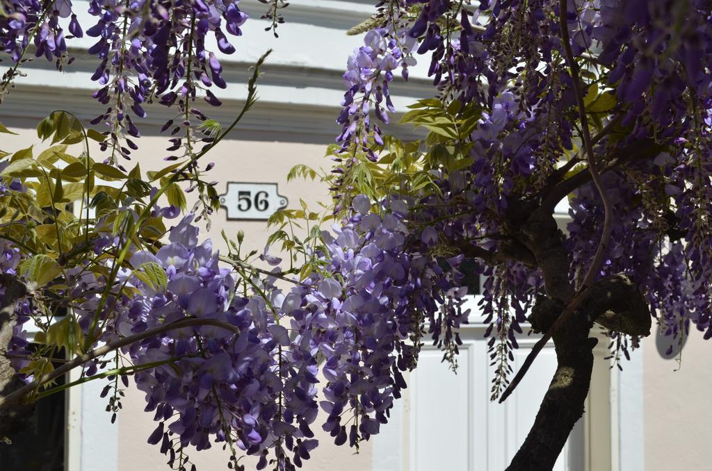 Wisteria Bed & Breakfast Fontainebleau Bagian luar foto